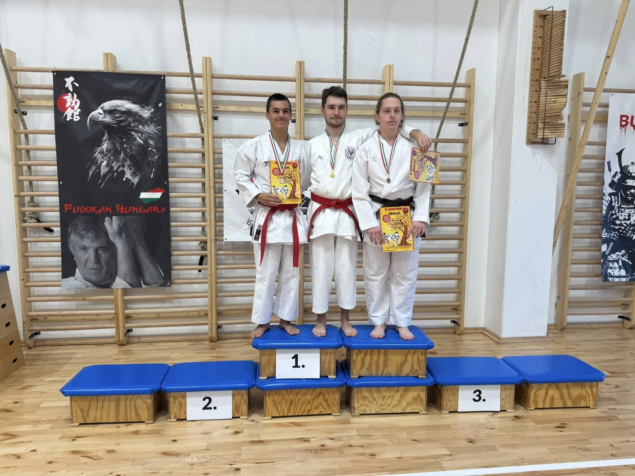 2025 sarbogard - DenShin