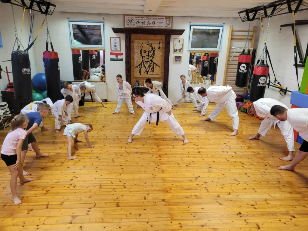 bemelegites - DenShin